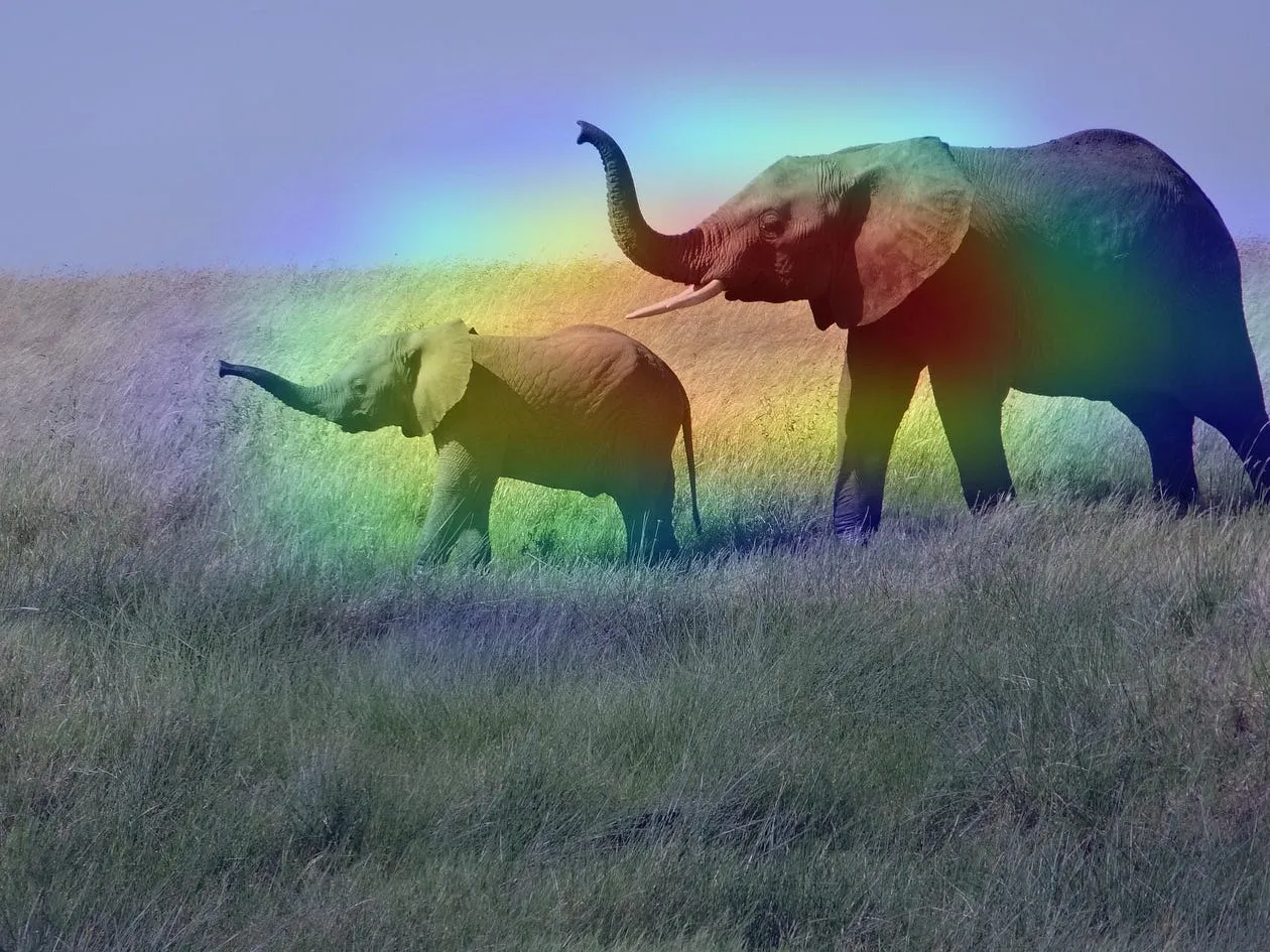 Figure 1. Example of Grad-CAM application