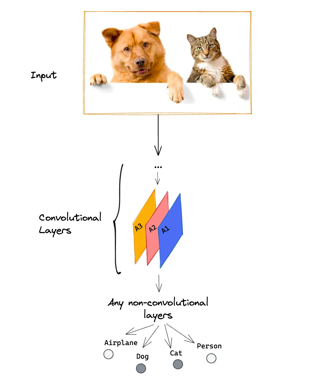 Figure 4. Grad-CAM applied to a pre-trained convolutional network