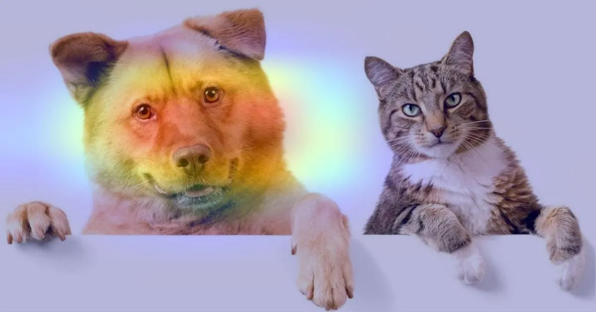 Figure 14. Heatmap overlaid on original image (dog)