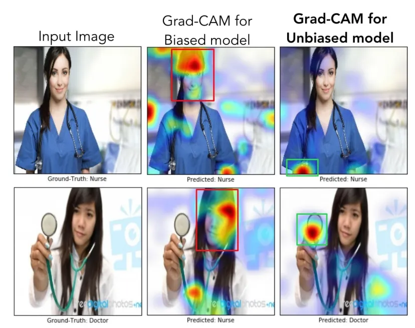 Figure 15. Example of Grad-CAM applied to a biased model